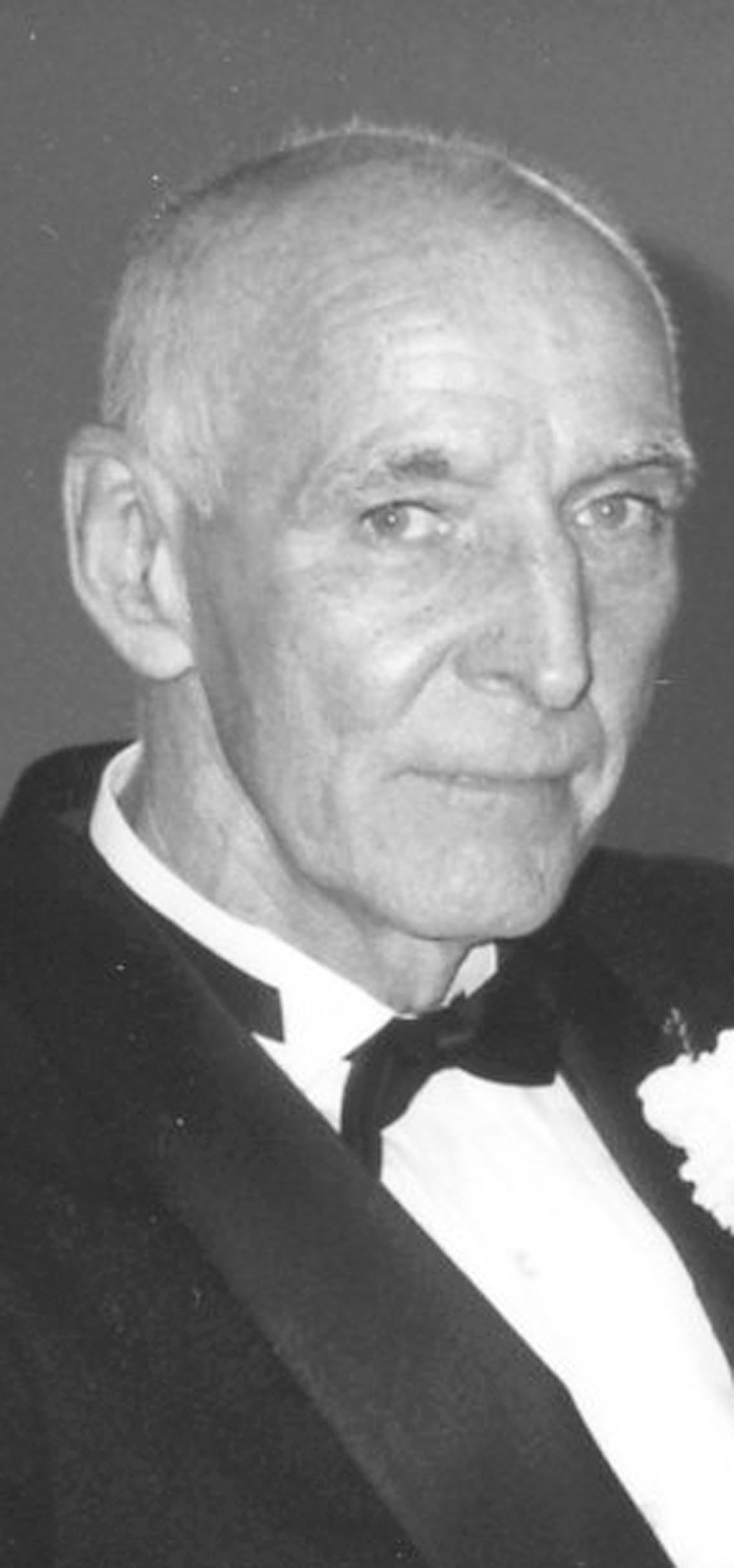 Joseph D. Wolnik News, Sports, Jobs Observer Today